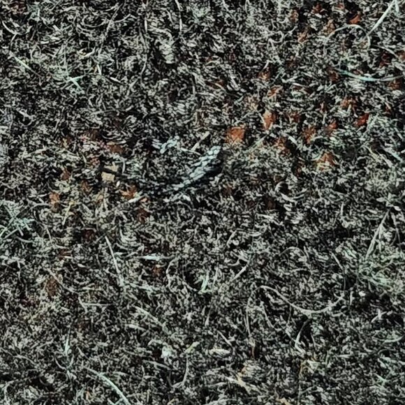 Soaked in Luxury long black wool cardigan - please read carefully - Picture 7 of 10